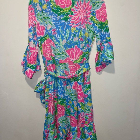 Lilly Pulitzer Kassi Ruffle Dress - Picture 4 of 9